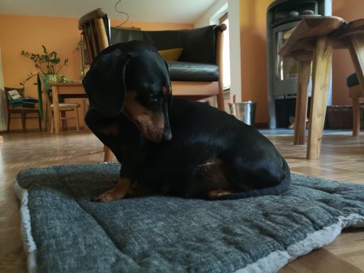Ella horcht in sich hinein