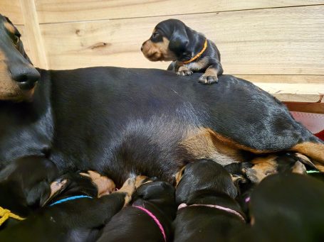 Nun ist die Kiste voll...